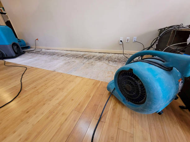 Professional Basement Flood Cleanup technician working in Leonia, NJ